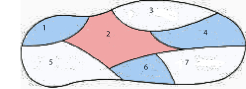 described in detail following the image