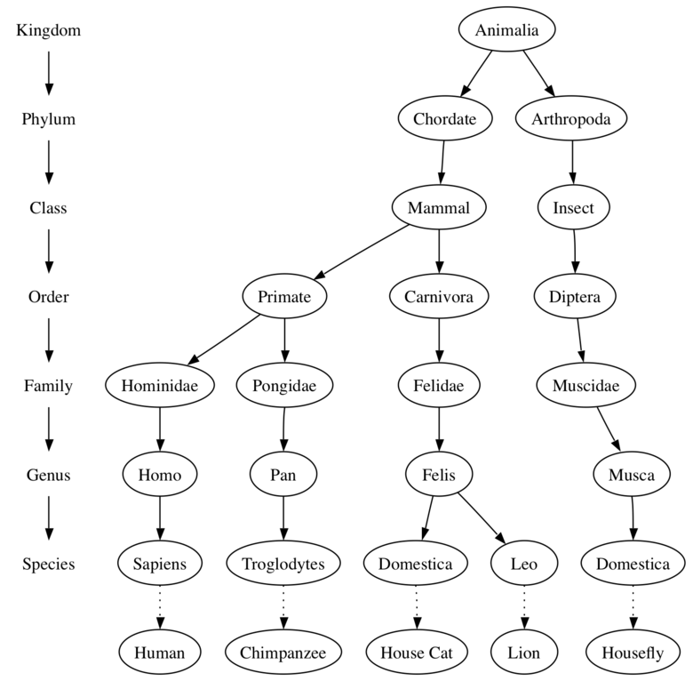 described in detail following the image